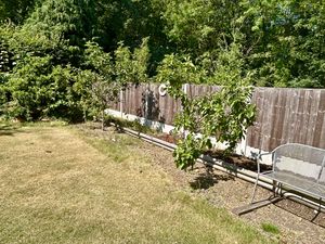 Fruit Trees- click for photo gallery